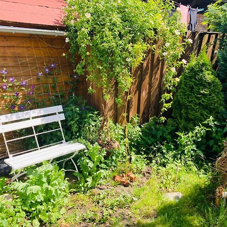Ferienhaus Am Wasser Im Gruenen Zecherin Eksteriør billede