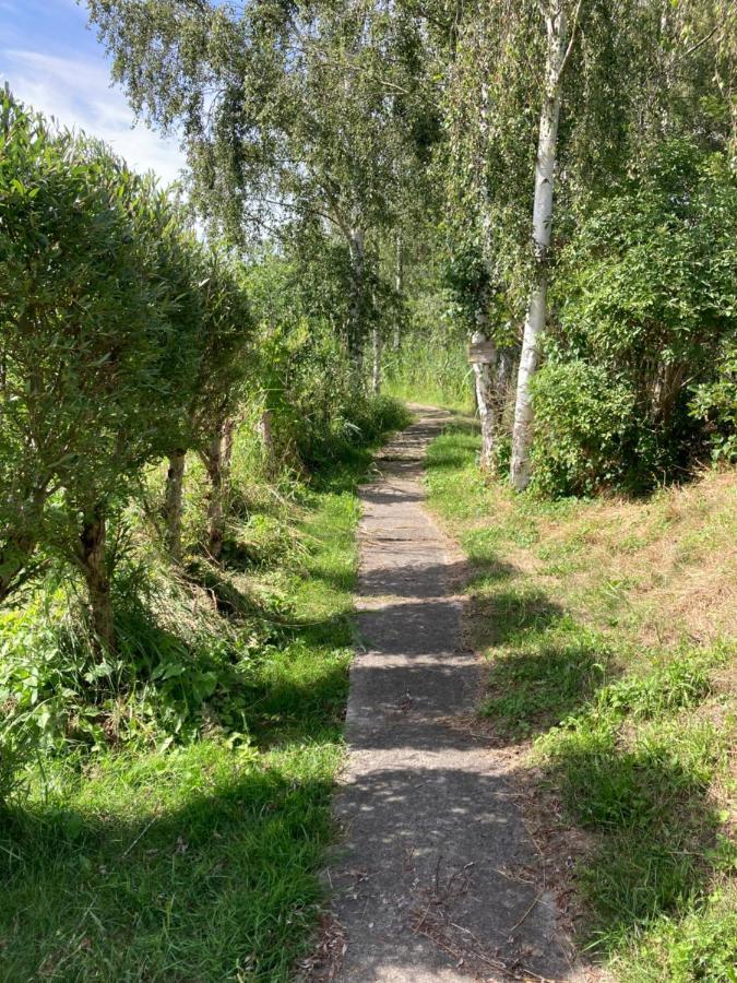 Ferienhaus Am Wasser Im Gruenen Zecherin Eksteriør billede